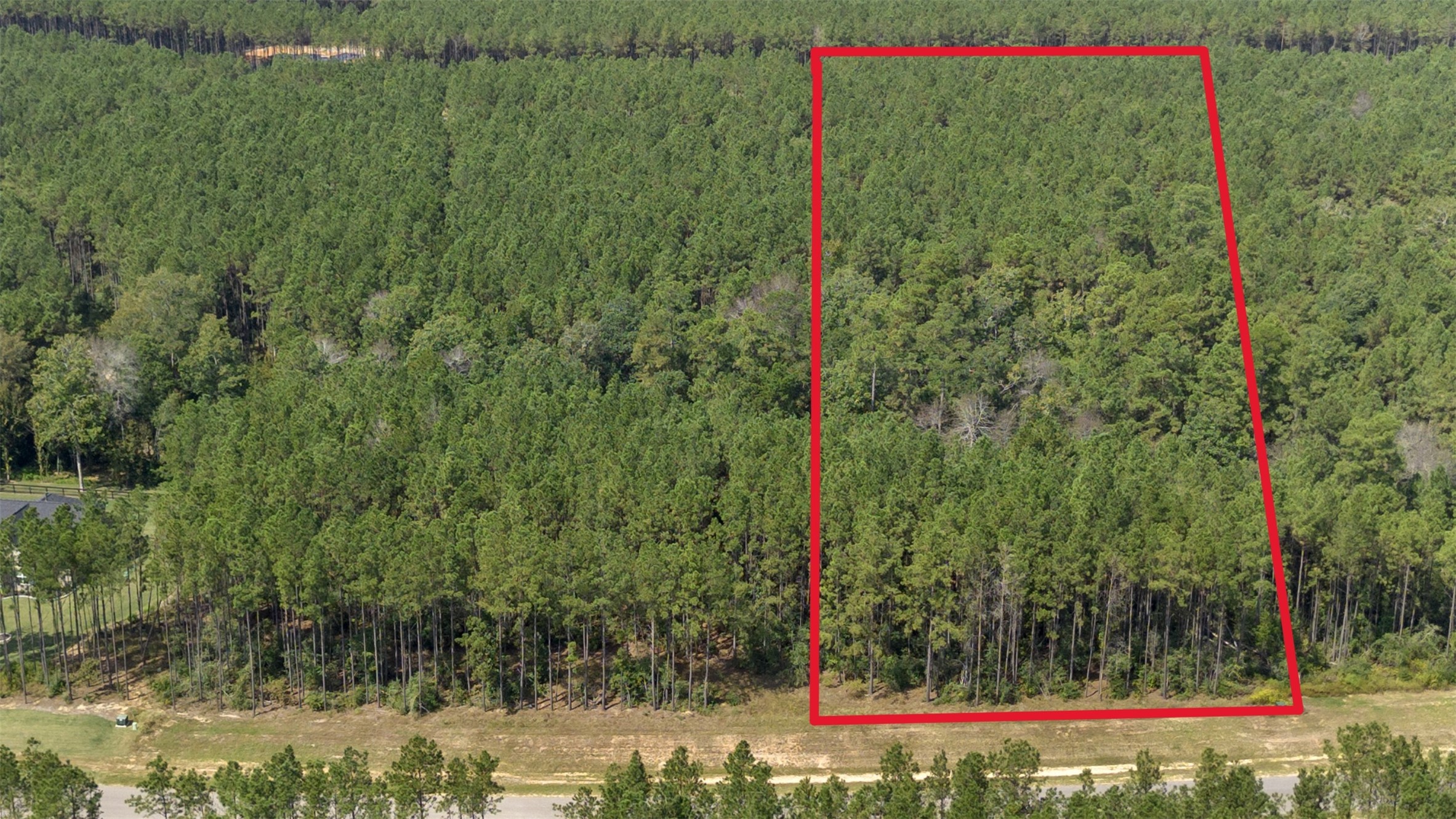 15896 Ridge Oak Road Willis, TX 77378 - Photo 15 of 23