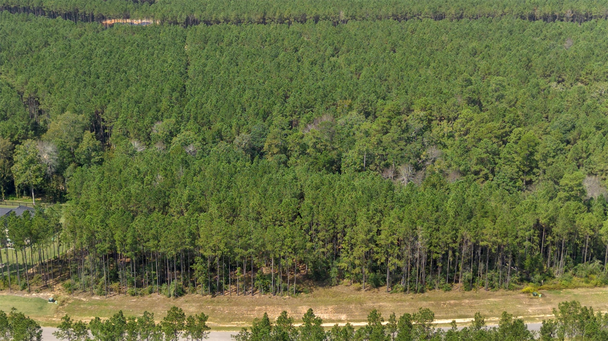 15896 Ridge Oak Road Willis, TX 77378 - Photo 16 of 23 a view of a yard