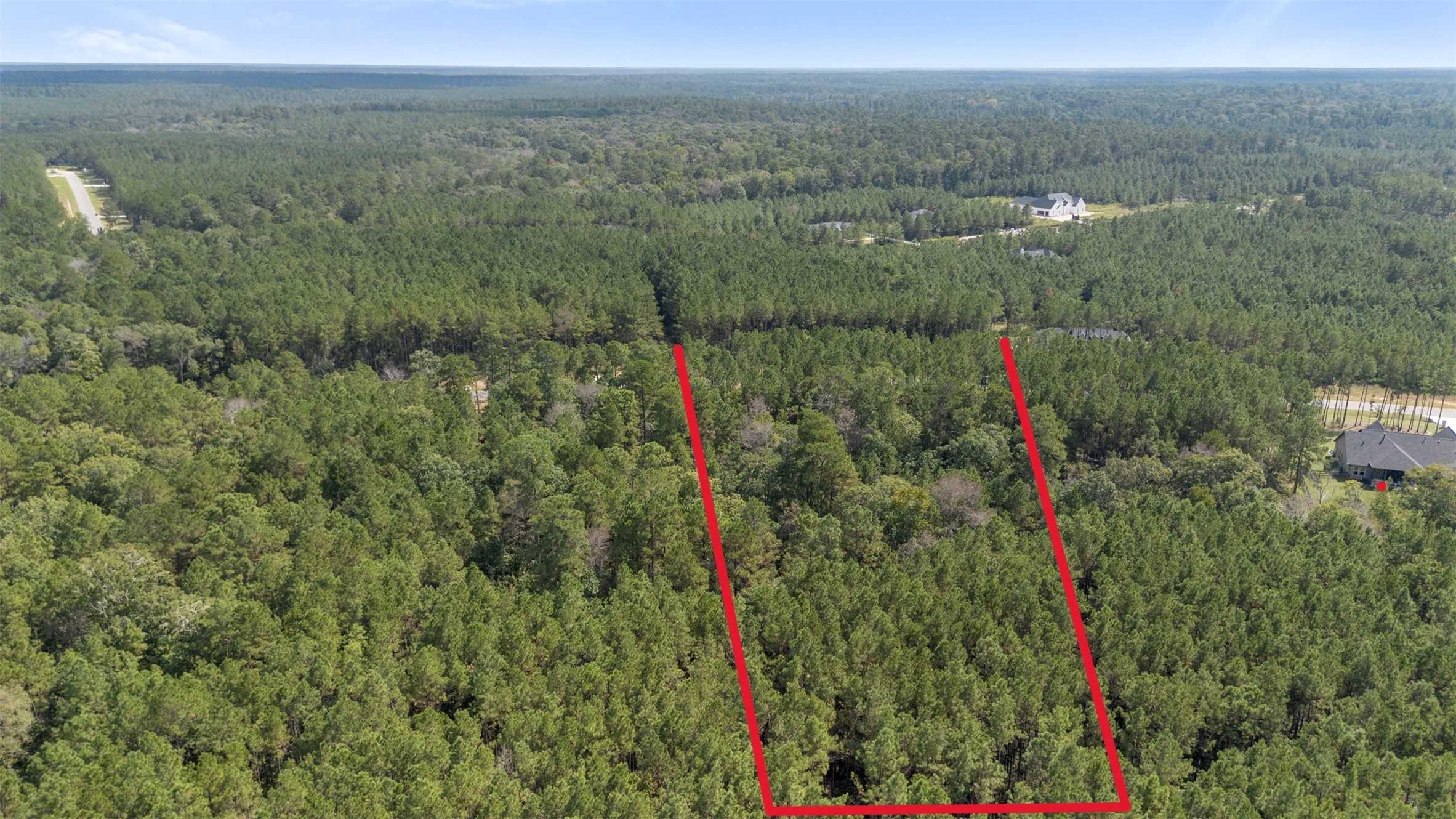 15896 Ridge Oak Road Willis, TX 77378 - Photo 17 of 23 a view of a and trees in a field