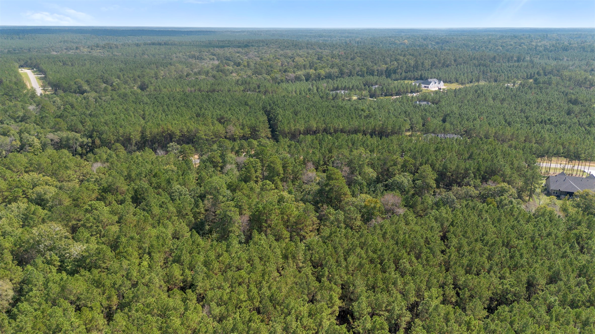 15896 Ridge Oak Road Willis, TX 77378 - Photo 18 of 23 a view of a city with lush green forest