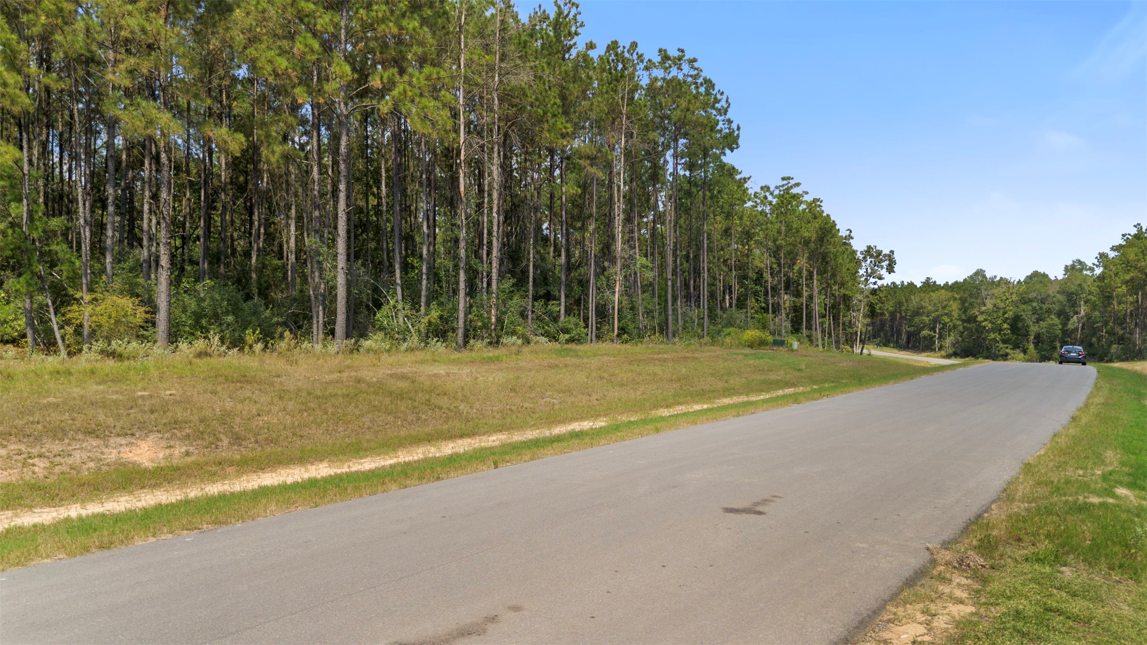 15896 Ridge Oak Road Willis, TX 77378 - Photo 20 of 23 a view of a field with trees in the background