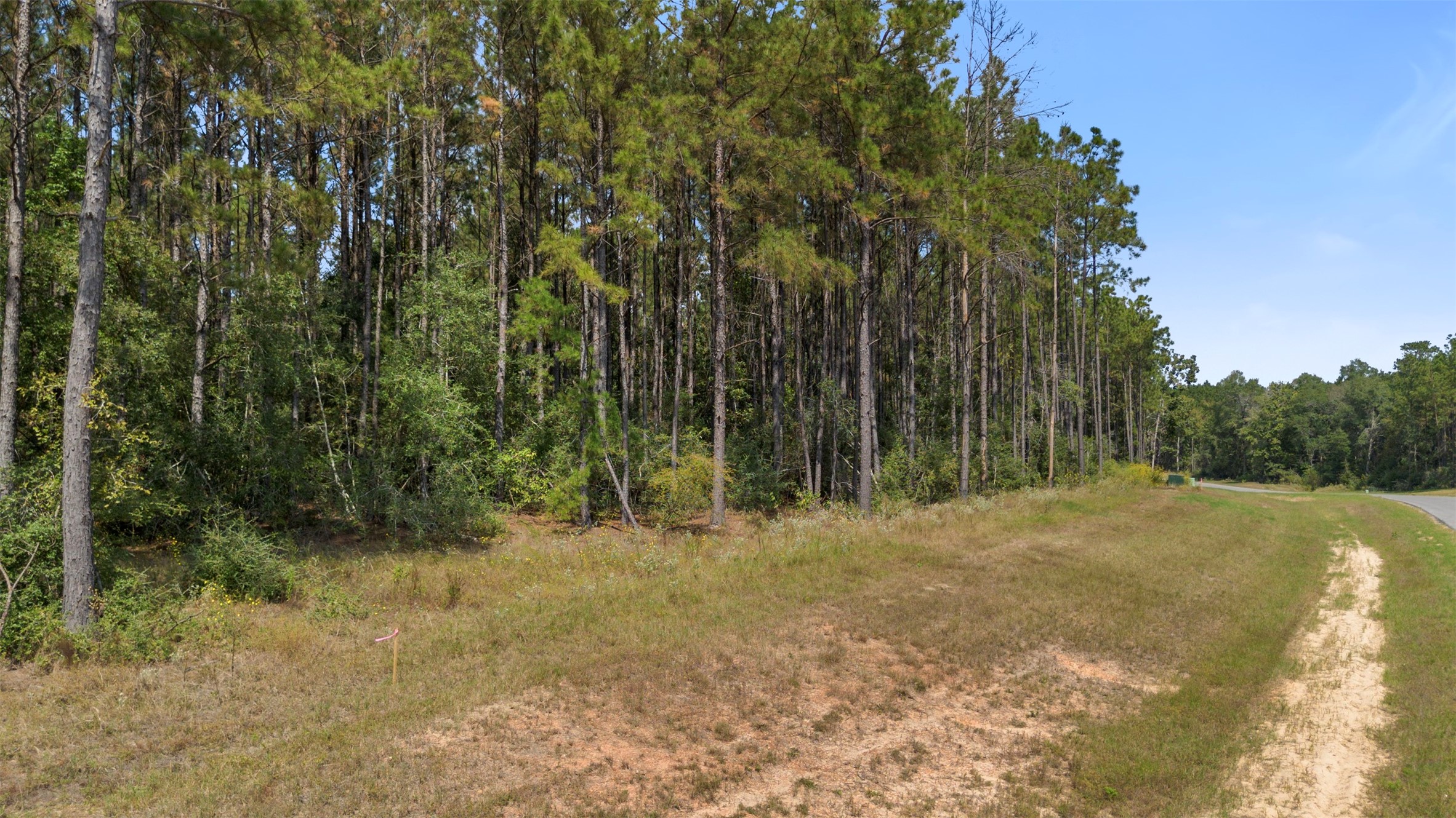 15896 Ridge Oak Road Willis, TX 77378 - Photo 22 of 23 a view of a yard with large trees