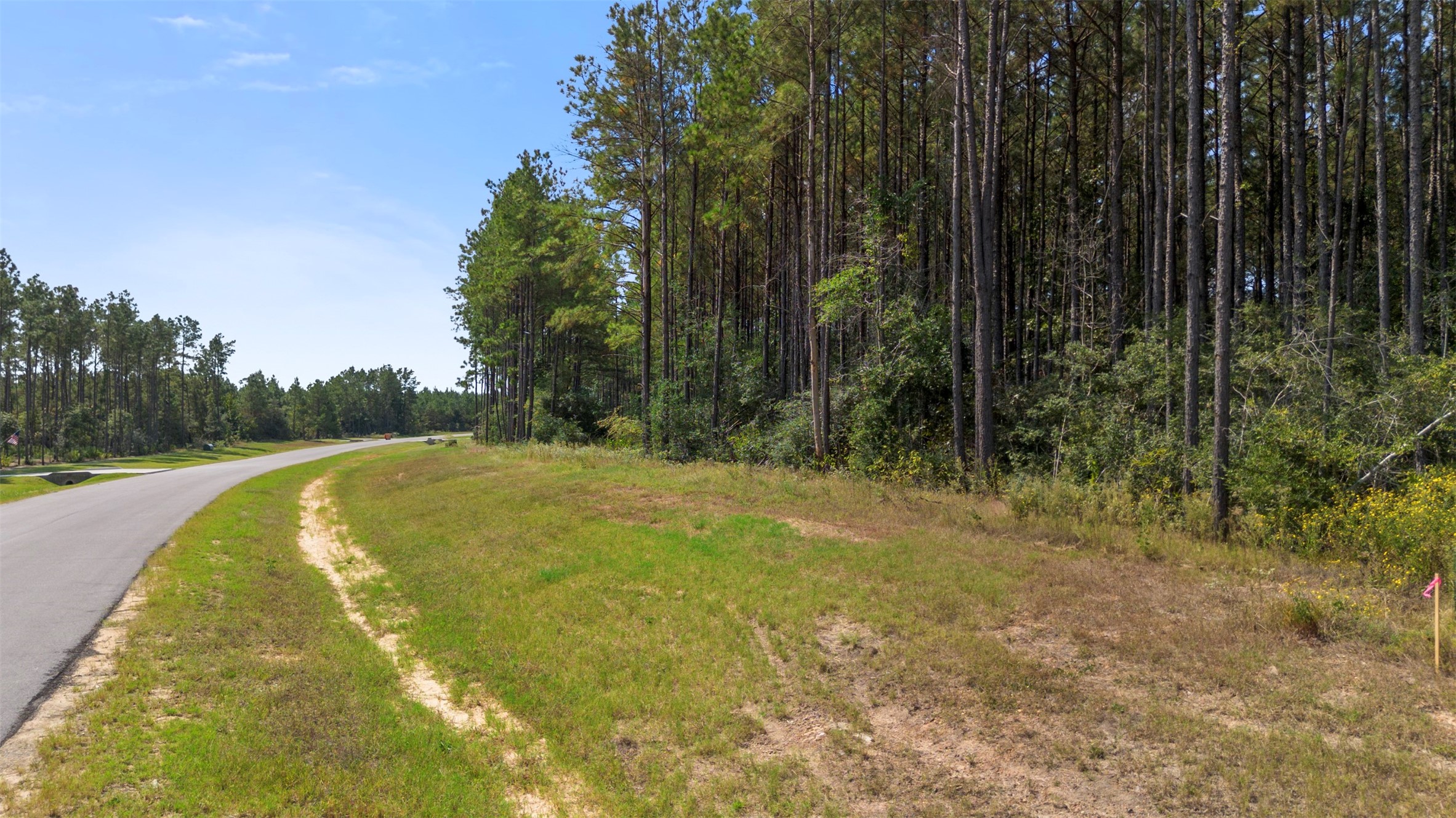 15896 Ridge Oak Road Willis, TX 77378 - Photo 23 of 23 a view of a swimming pool with a yard