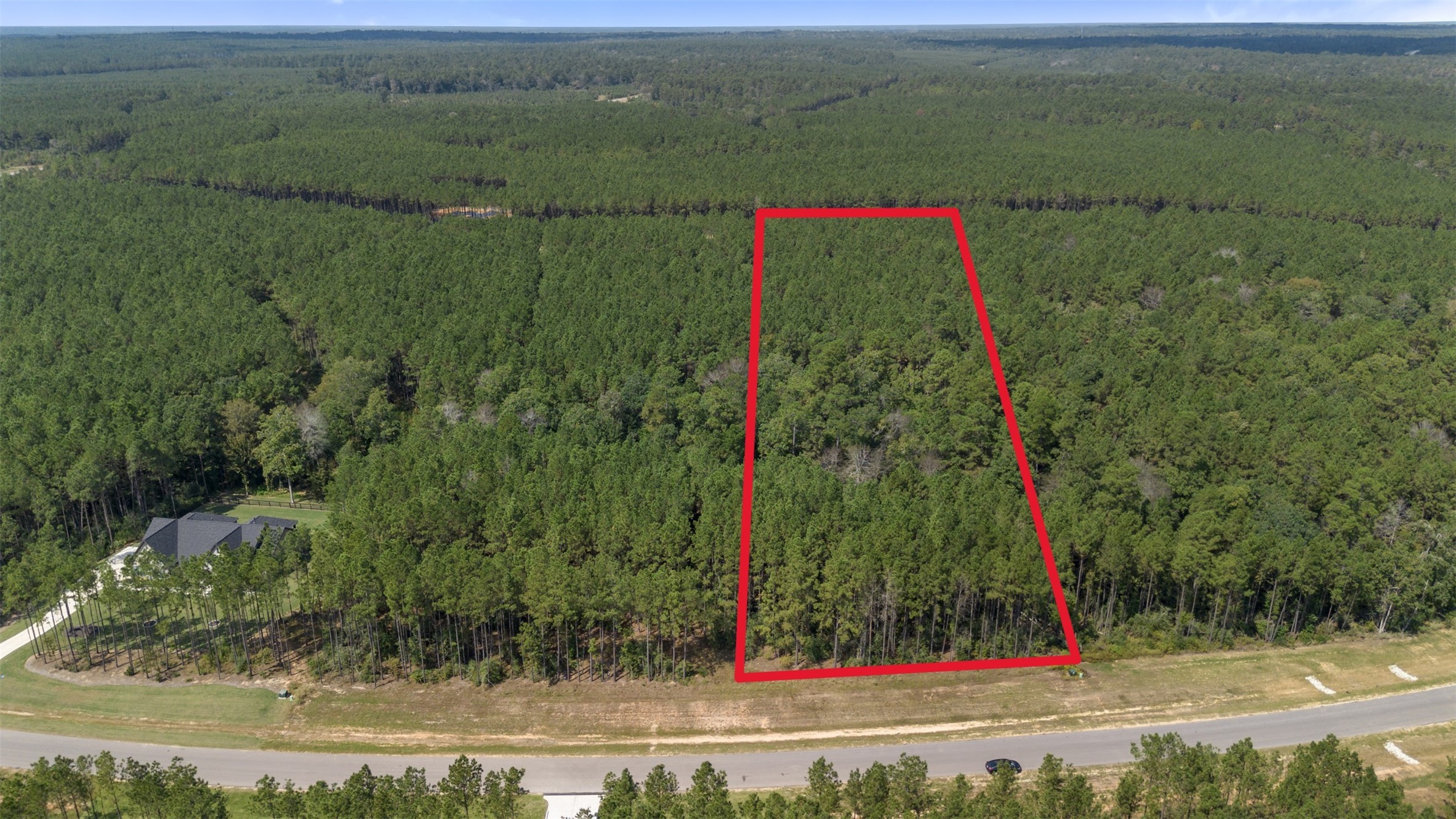 15896 Ridge Oak Road Willis, TX 77378 - Photo 7 of 23 a view of a park with large trees