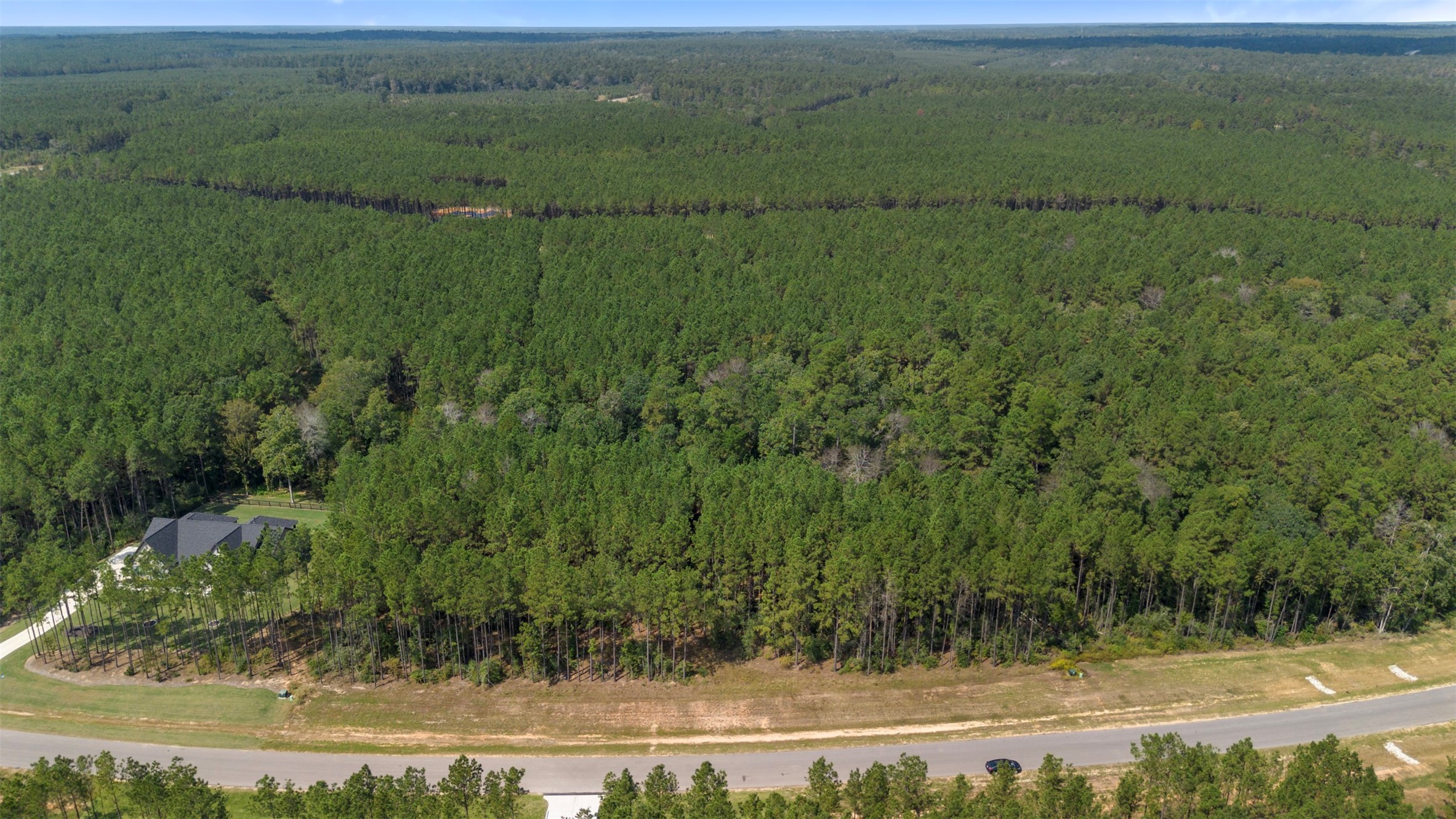 15896 Ridge Oak Road Willis, TX 77378 - Photo 8 of 23 a view of a lush green field