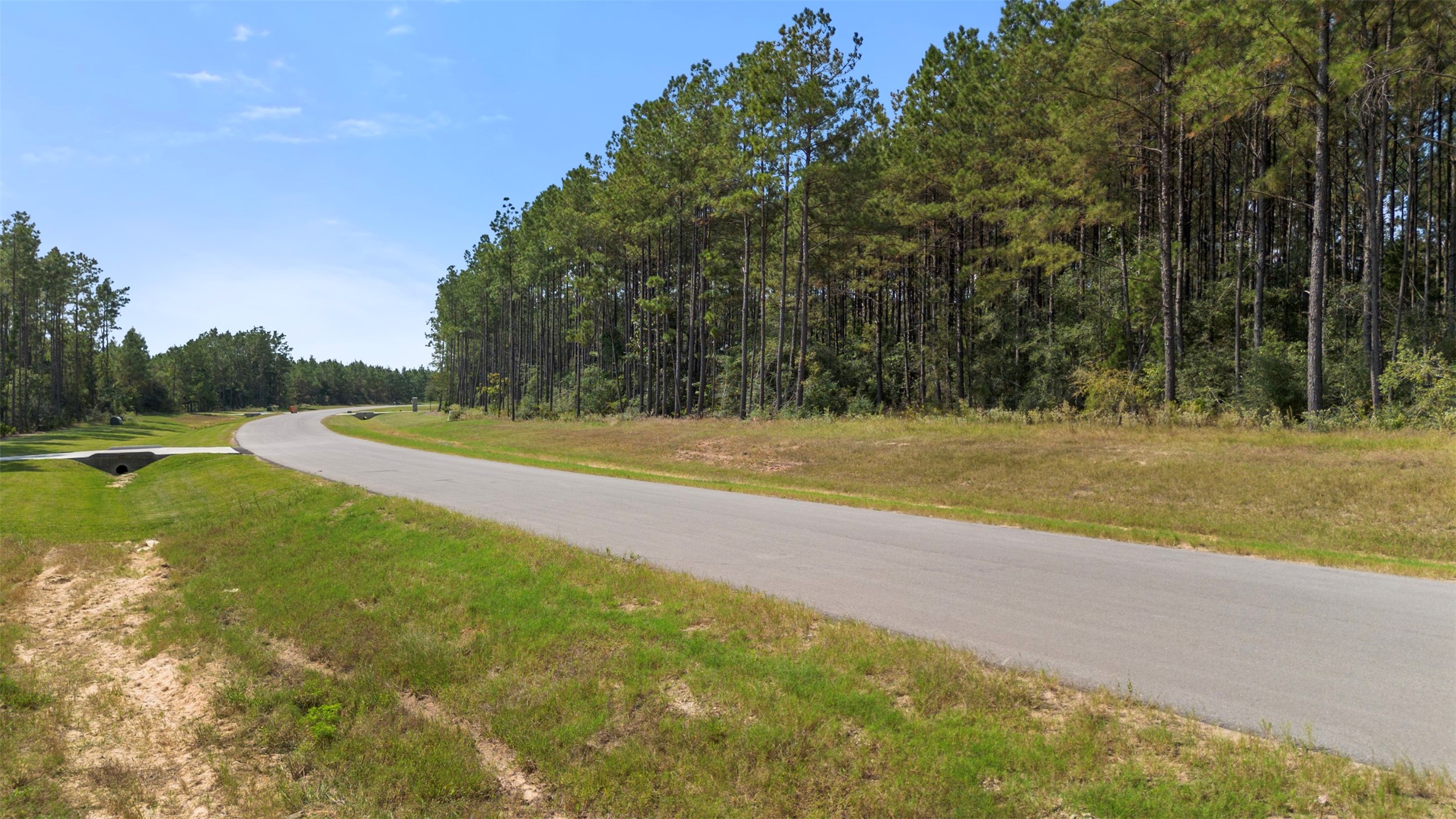 15896 Ridge Oak Road Willis, TX 77378 - Photo 10 of 23 a view of a field with trees in the background