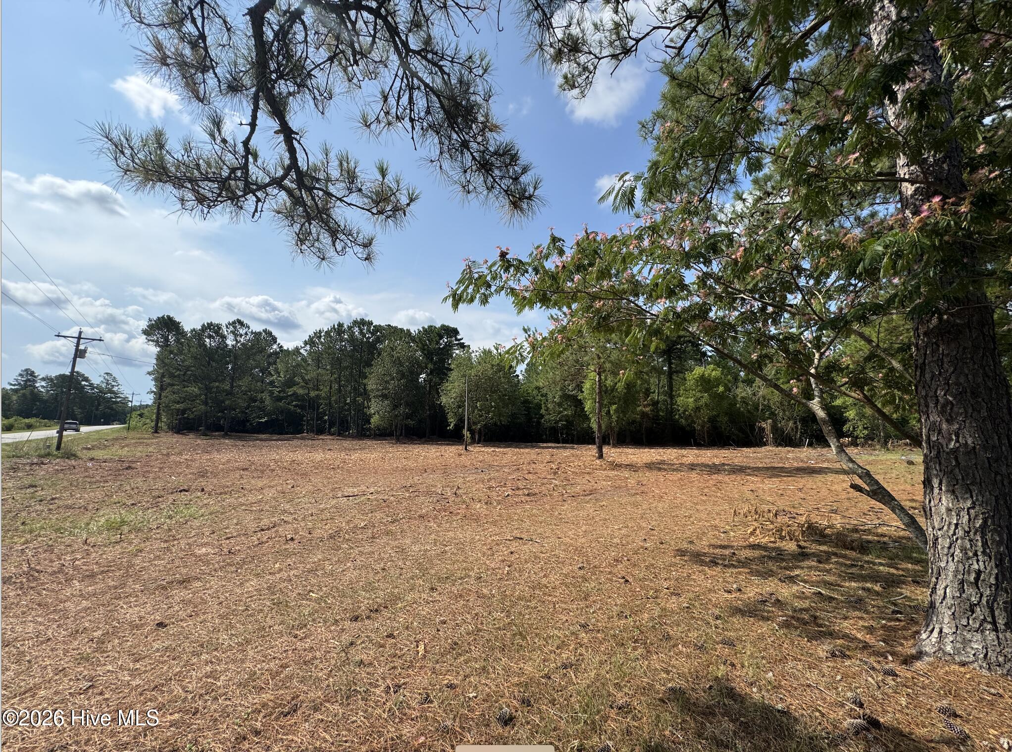 1187 Green Hill Road Northeast Leland, NC 28451 - Photo 5 of 8