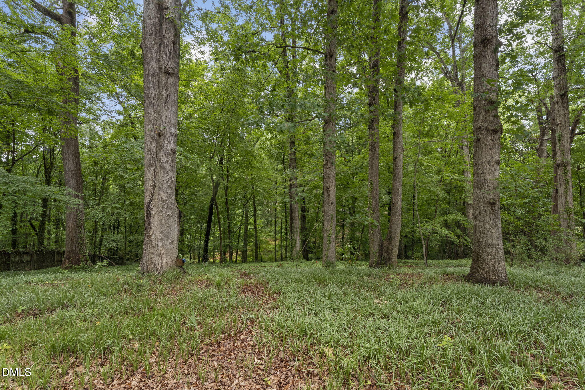 4419 Laurel Hills Road Raleigh, NC 27612 - Photo 37 of 41