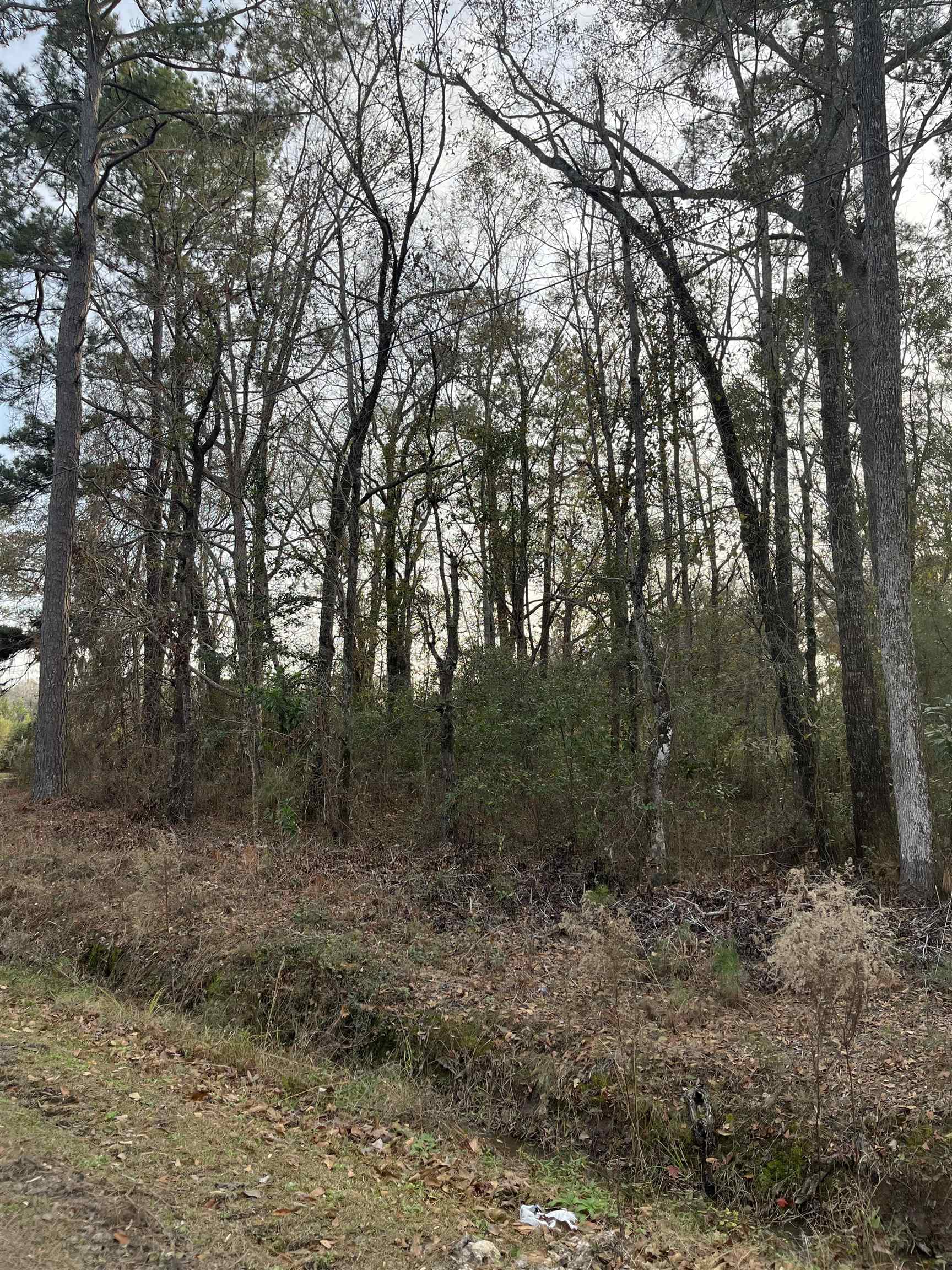 Tbd Little Lamb Road Conway, SC 29527 - Photo 4 of 5 Gallery Image 4