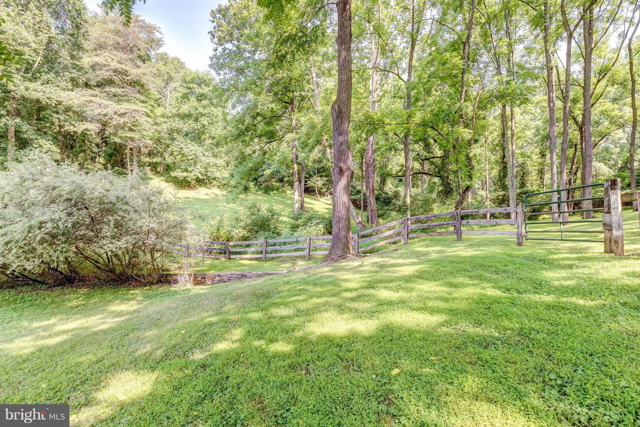 2148 Shepperd Road Monkton, MD 21111 - Photo 20 of 26 a view of a trees with a yard