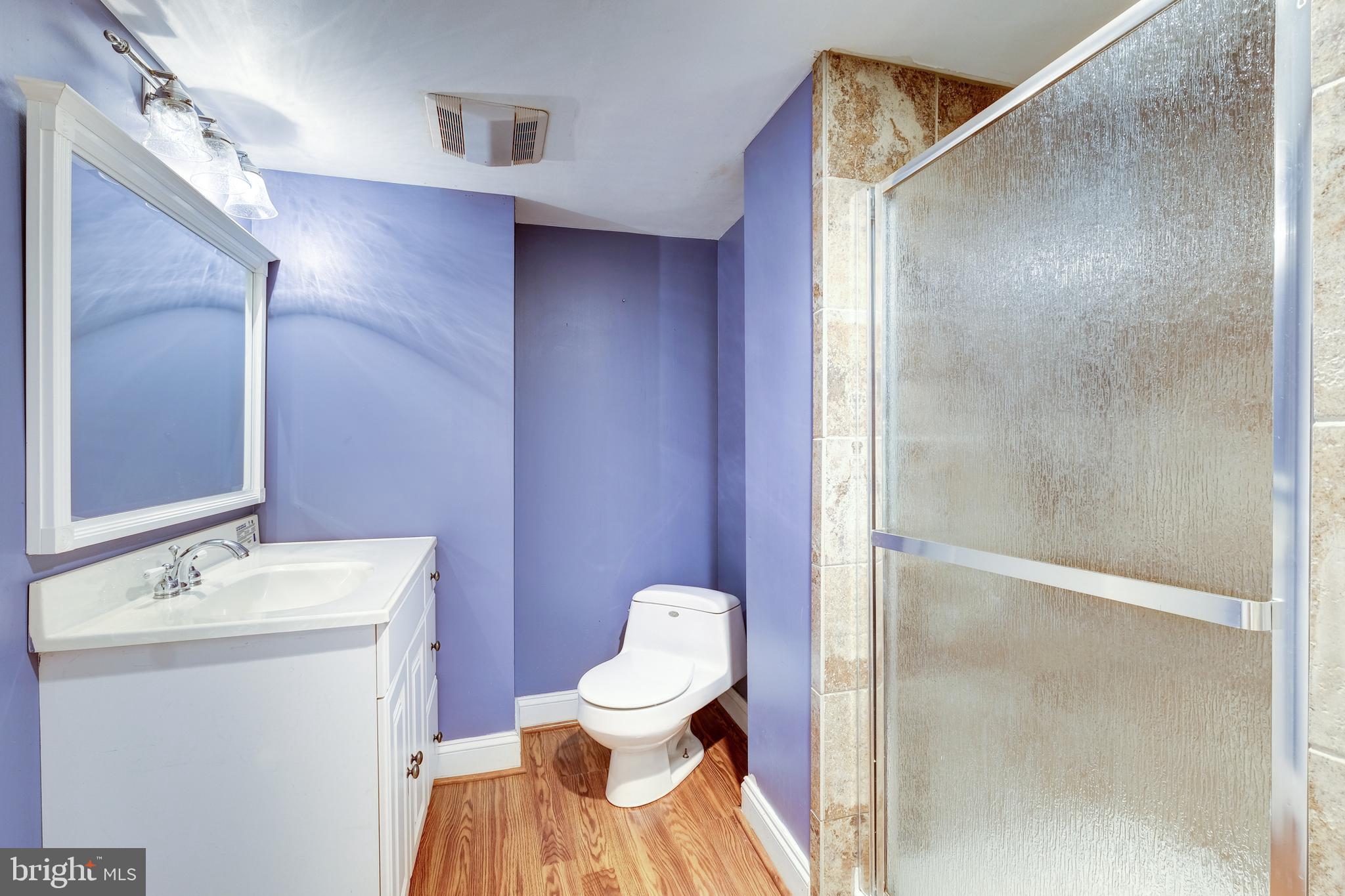 20513 Beaver Ridge Road Montgomery Village, MD 20886 - Photo 16 of 18 Full Bath in Lower Level
