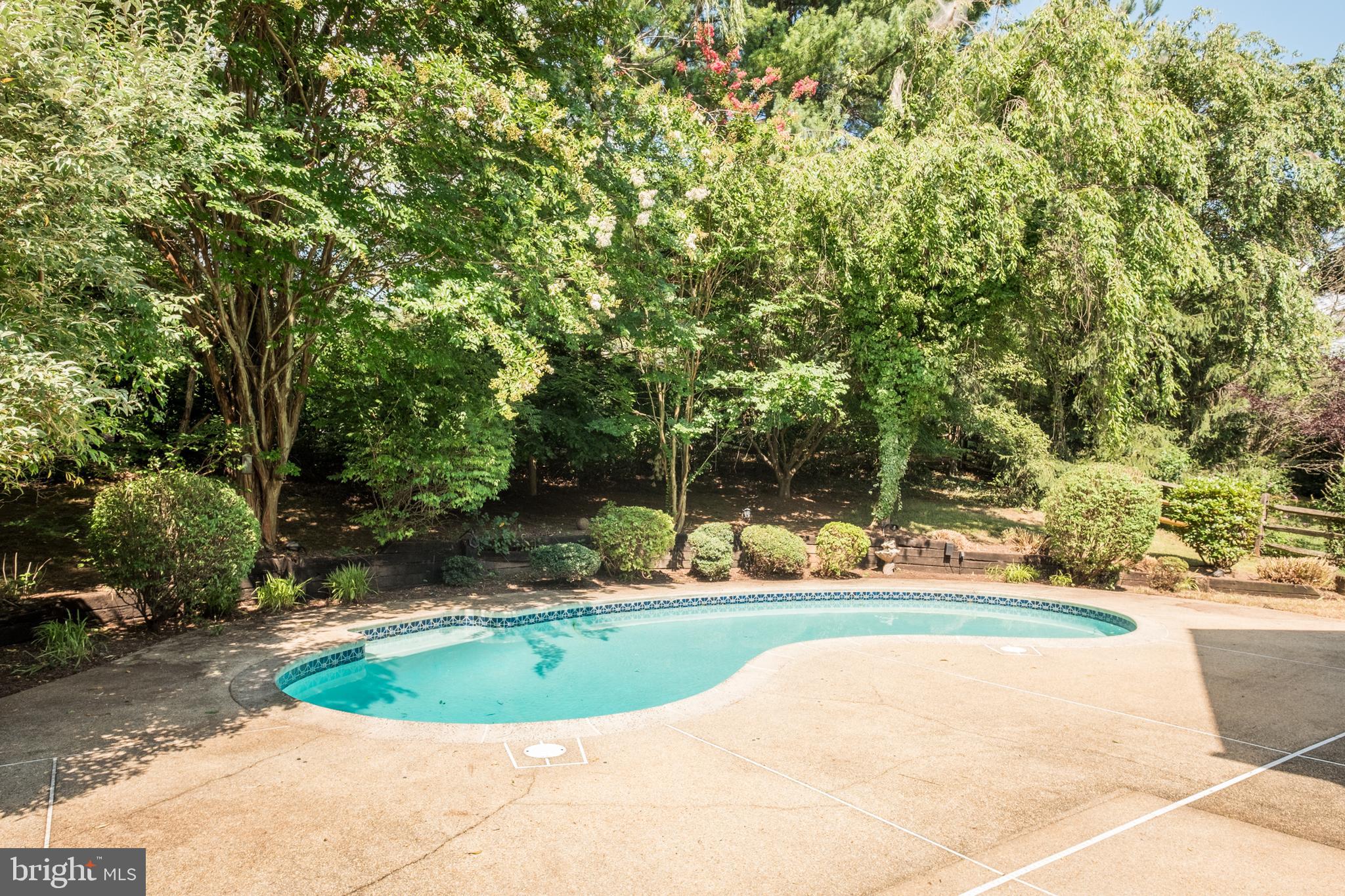 20513 Beaver Ridge Road Montgomery Village, MD 20886 - Photo 18 of 18 Inviting in-ground pool