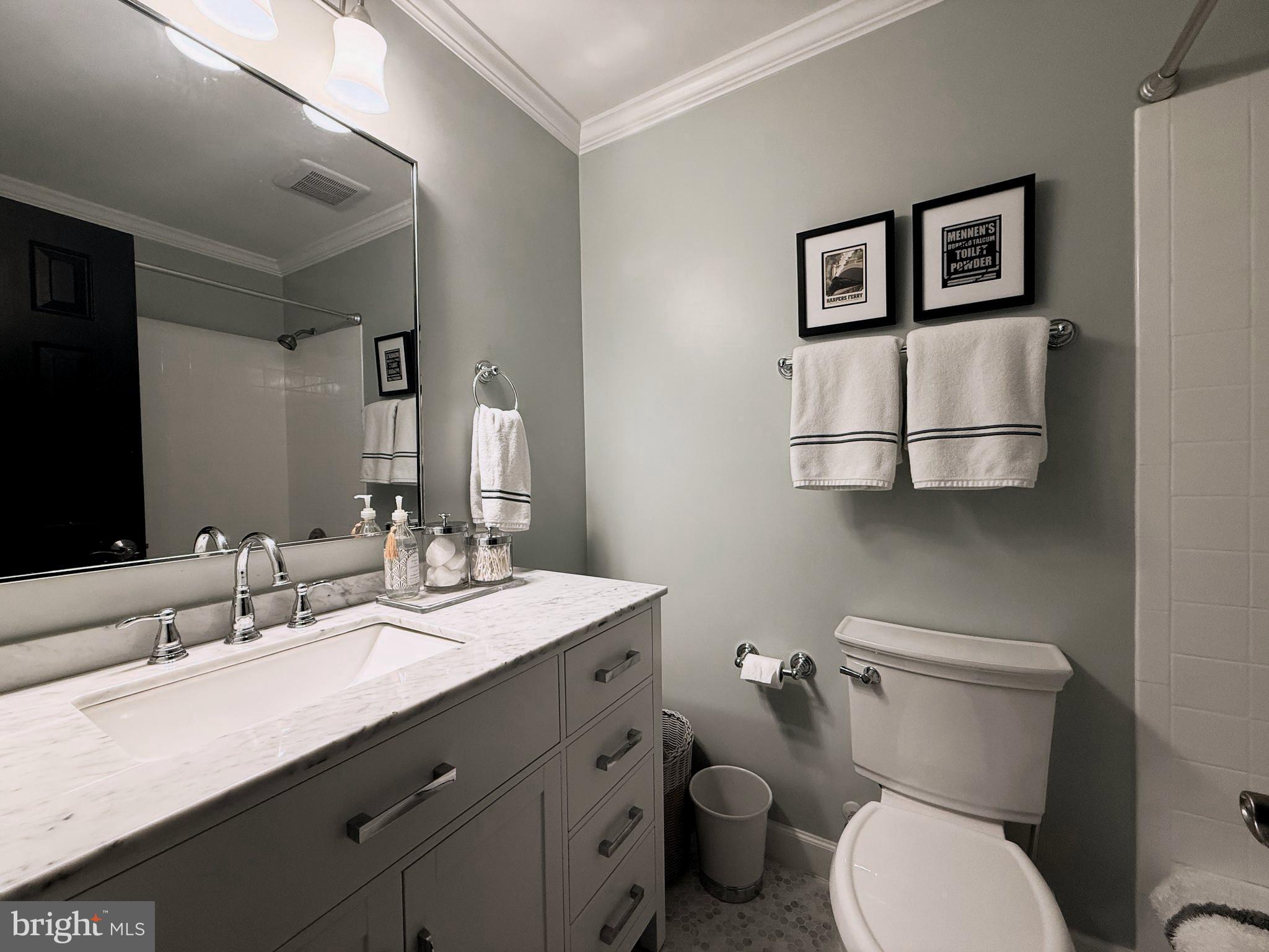 9217 Jeffery Road Great Falls, VA 22066 - Photo 46 of 80 a bathroom with a toilet sink and mirror