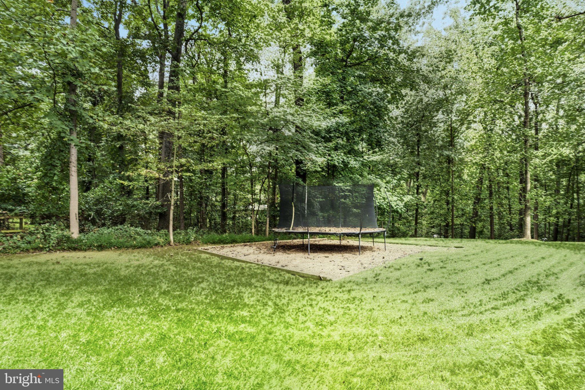9217 Jeffery Road Great Falls, VA 22066 - Photo 74 of 80 a view of a park with large trees