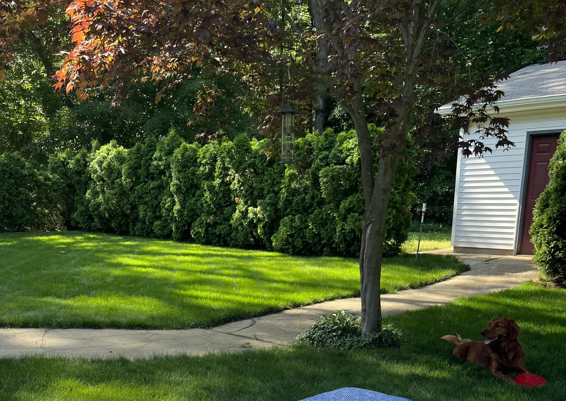 2972 West Fruitport Rd. Spring Lake, MI 49456 - Photo 41 of 45 IMG_0112-1