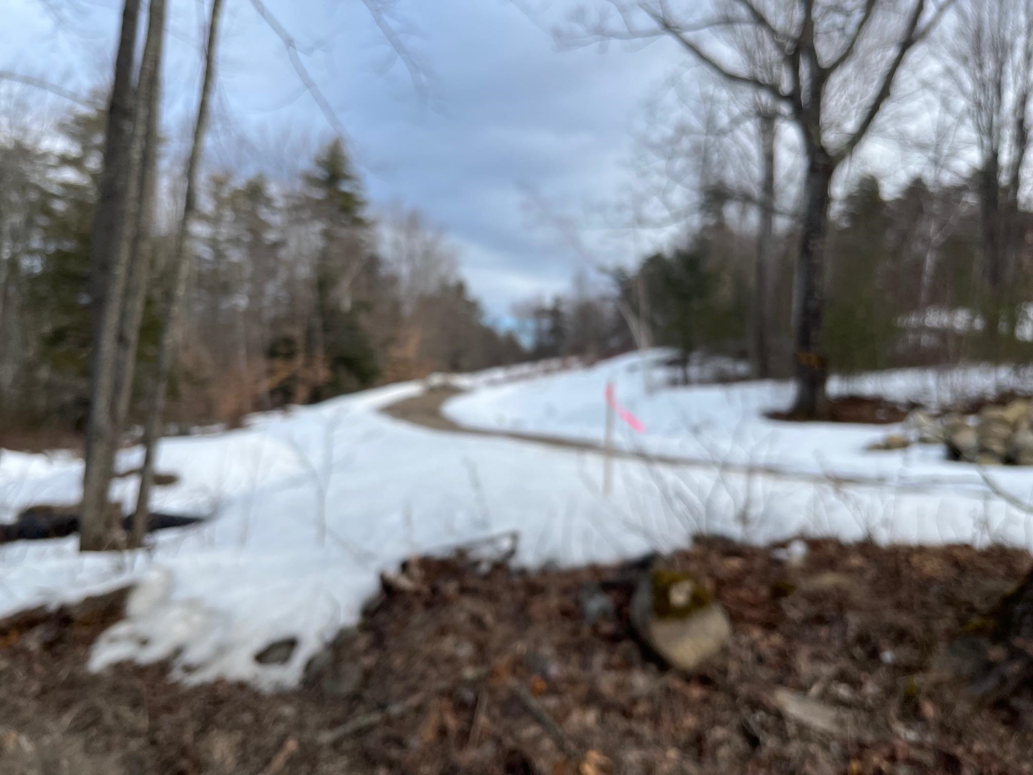 0 Pleasant Valley Road Wolfeboro, NH 03894 - Photo 4 of 4