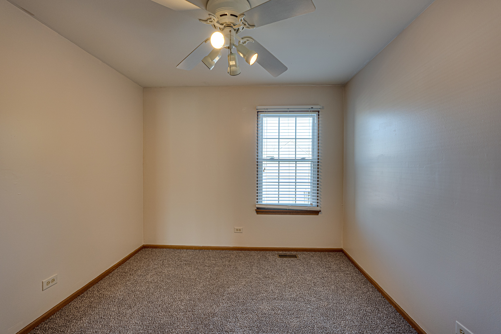 196 Park Ridge Lane Aurora, IL 60504 - Photo 12 of 19