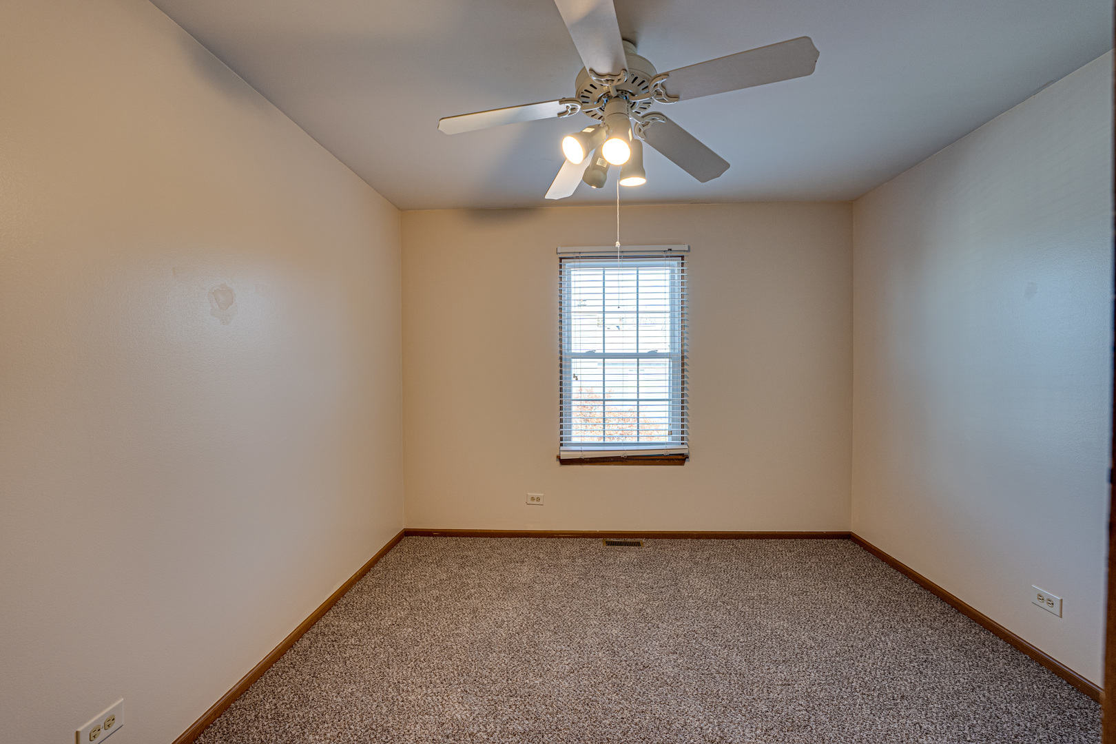 196 Park Ridge Lane Aurora, IL 60504 - Photo 14 of 19
