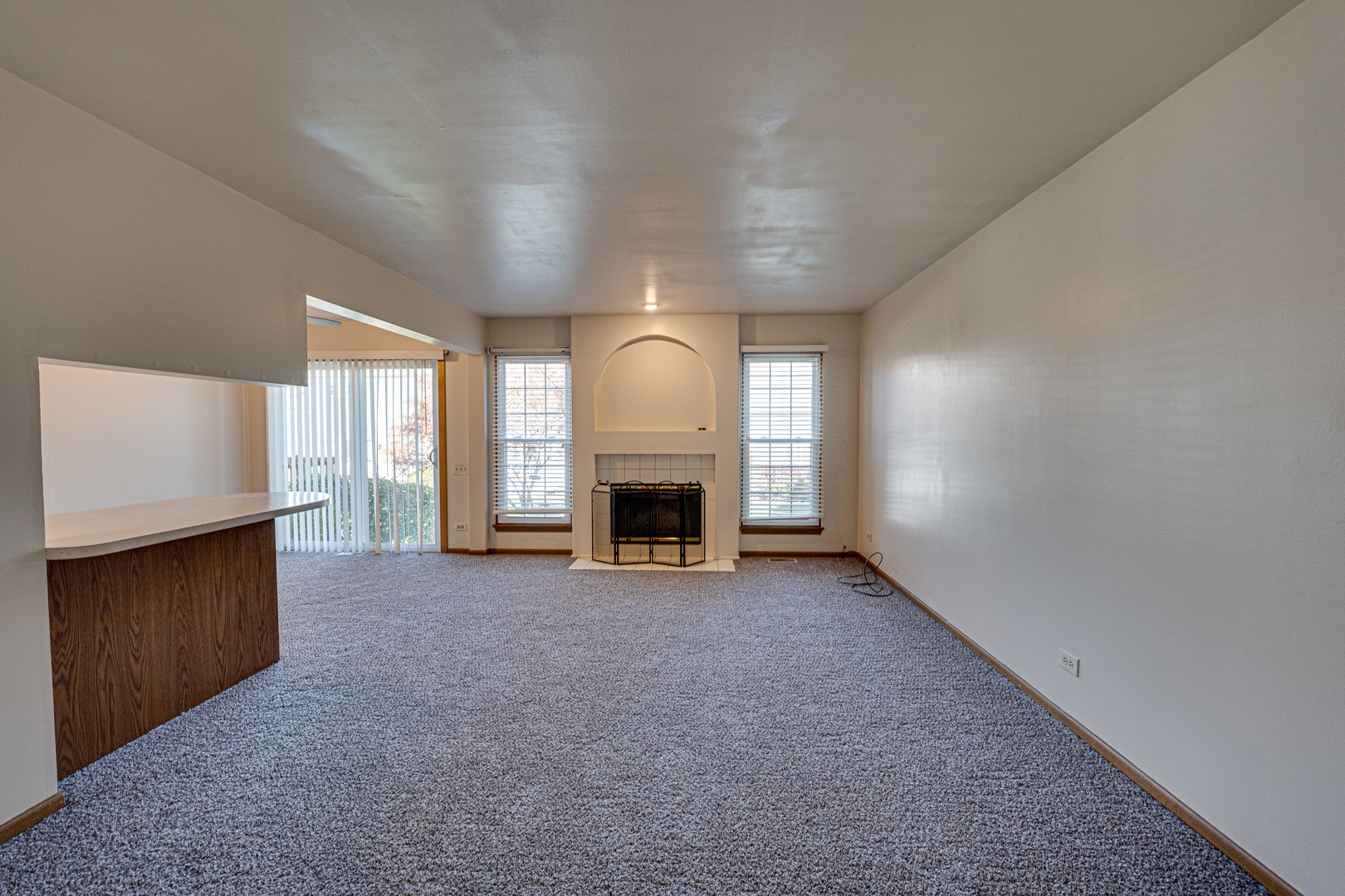 196 Park Ridge Lane Aurora, IL 60504 - Photo 3 of 19
