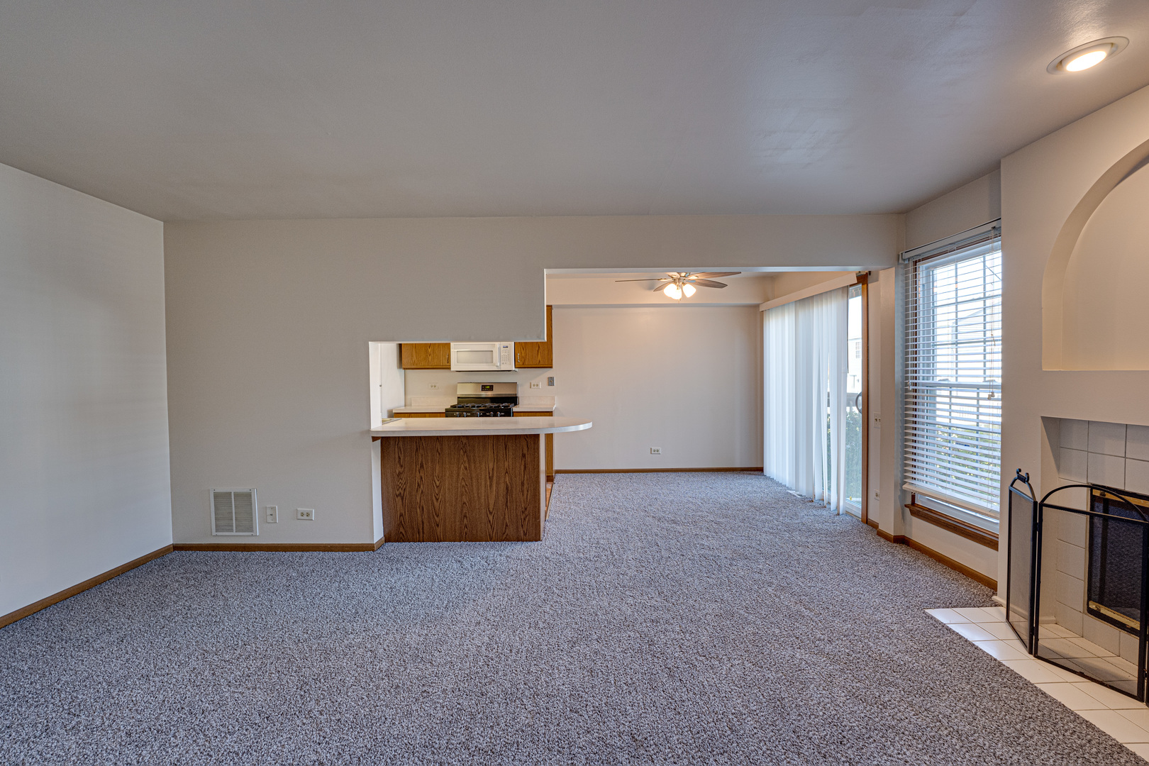 196 Park Ridge Lane Aurora, IL 60504 - Photo 5 of 19
