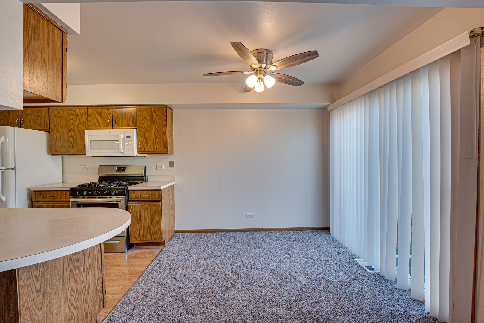 196 Park Ridge Lane Aurora, IL 60504 - Photo 6 of 19