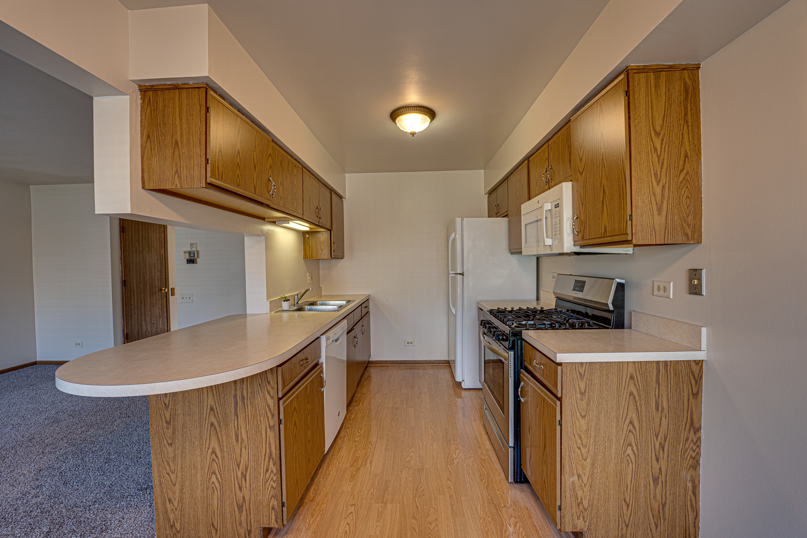 196 Park Ridge Lane Aurora, IL 60504 - Photo 7 of 19