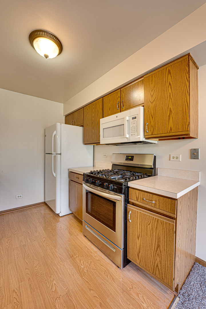 196 Park Ridge Lane Aurora, IL 60504 - Photo 8 of 19