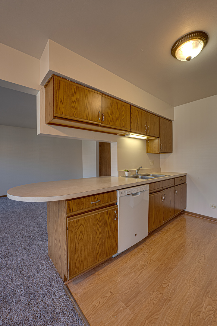 196 Park Ridge Lane Aurora, IL 60504 - Photo 9 of 19