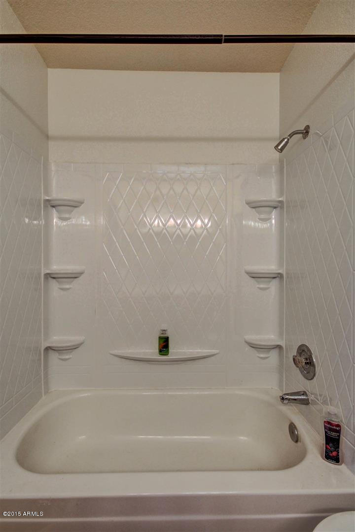 1237 West Sea Shell Drive Gilbert, AZ 85233 - Photo 14 of 30 Sea Shell (6)