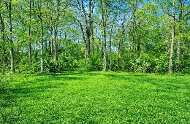 a view of a lush green space
