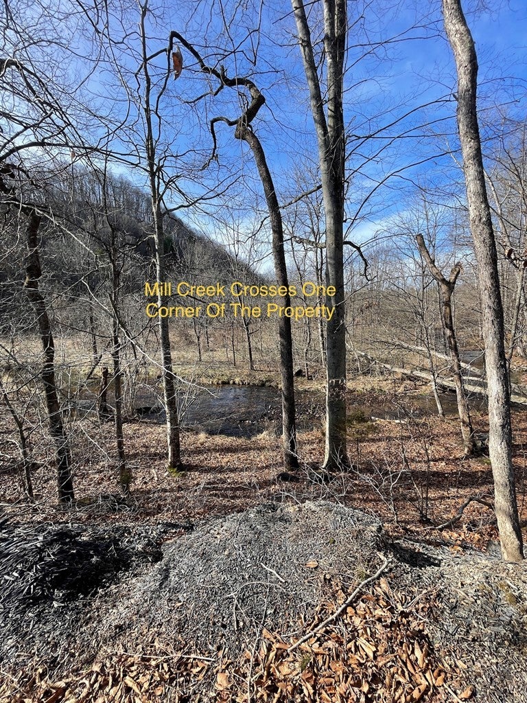 15586 Bishop Road Chilhowie, VA 24319 - Photo 50 of 71 Gallery Image 50