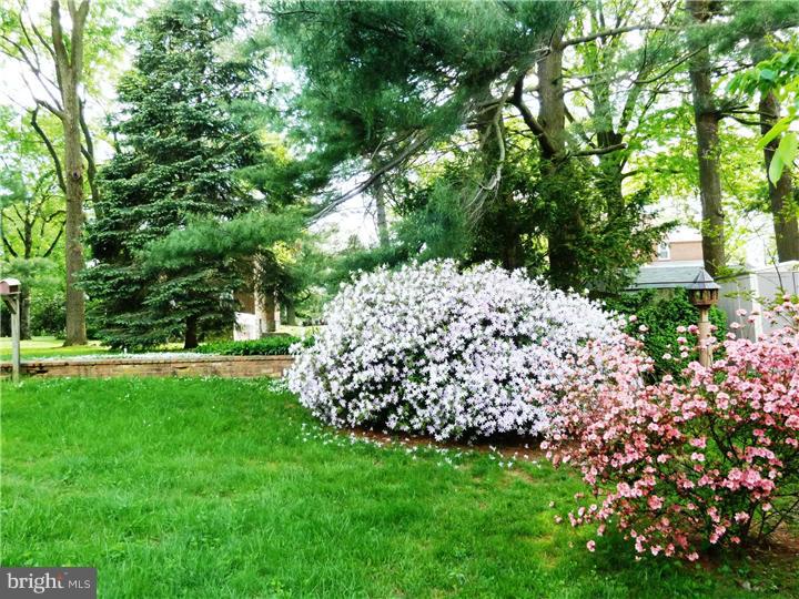 2632 Radcliffe Road Broomall, PA 19008 - Photo 22 of 25 Back Yard