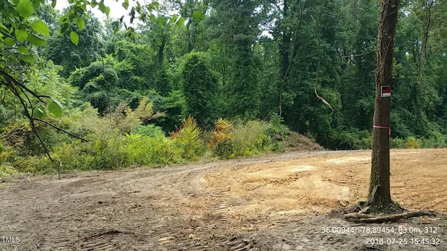 a view of a yard with plants