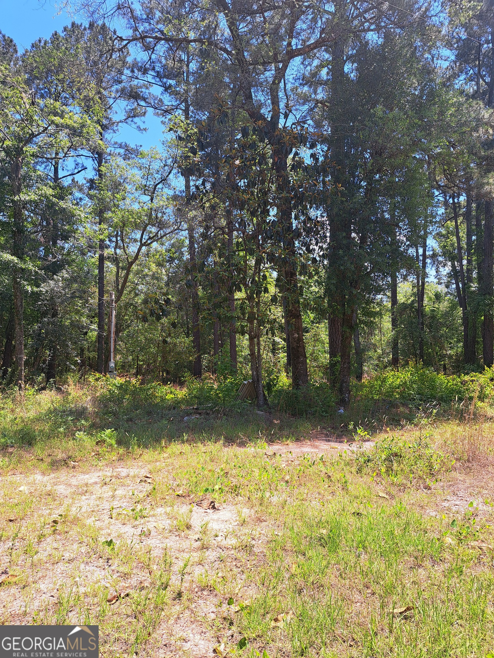608 Bass Road Reidsville, GA 30453 - Photo 2 of 2