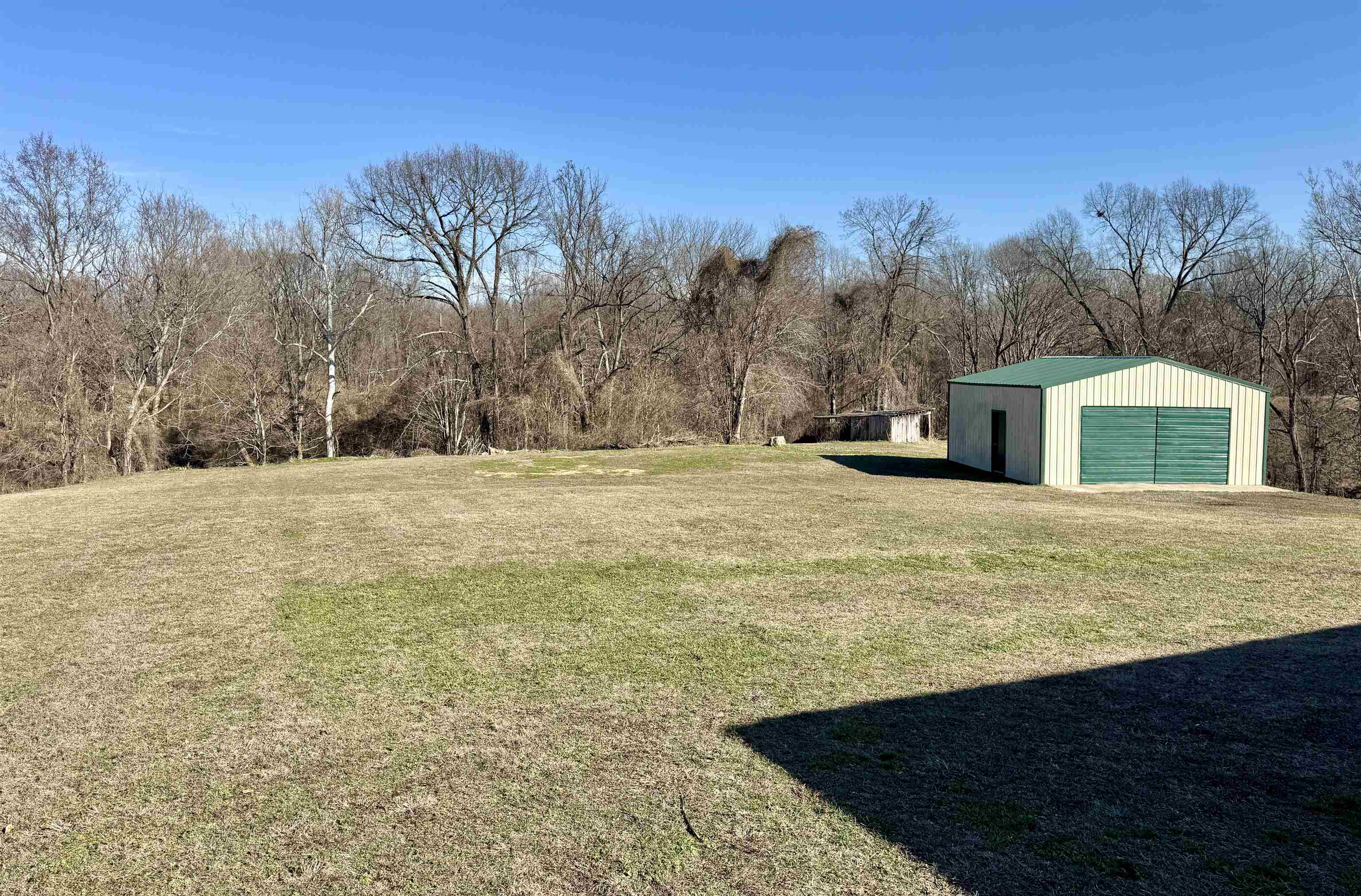 250 Dr Lewis Road Ripley, TN 38063 - Photo 8 of 18 a view of swimming pool with an outdoor space