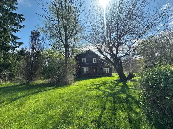 a view of backyard with large trees