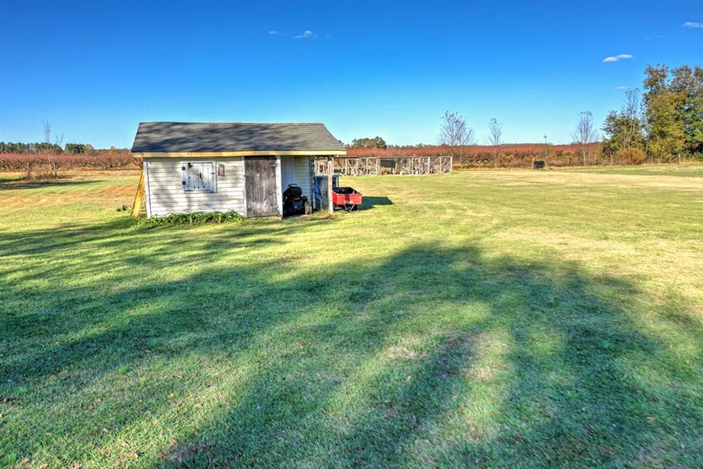 229 Early Sims Road Ridge Spring, SC 29129 - Photo 38 of 41