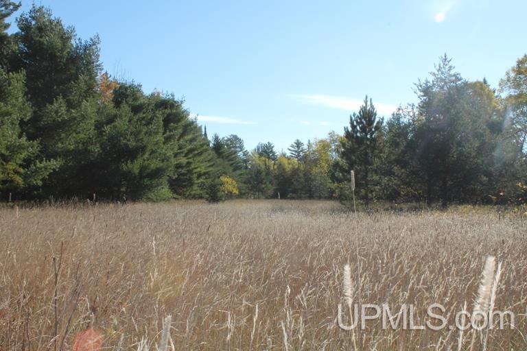 Tbd Missouri Rd - Co Rd 565, Unit LAT 46 31633 LON 87 5822 Gwinn, MI 49841 - Photo 16 of 30
