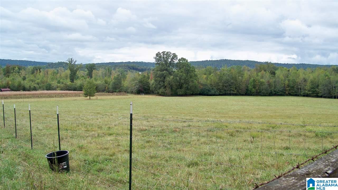 455 Bristow Creek Road Altoona, AL 35952 - Photo 7 of 21