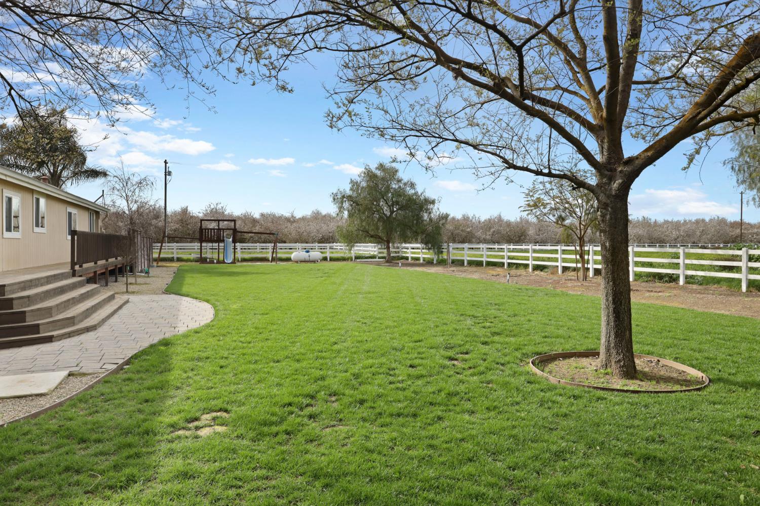 3320 Durham Ferry Road Tracy, CA 95304 - Photo 52 of 77 a view of a garden with a tree