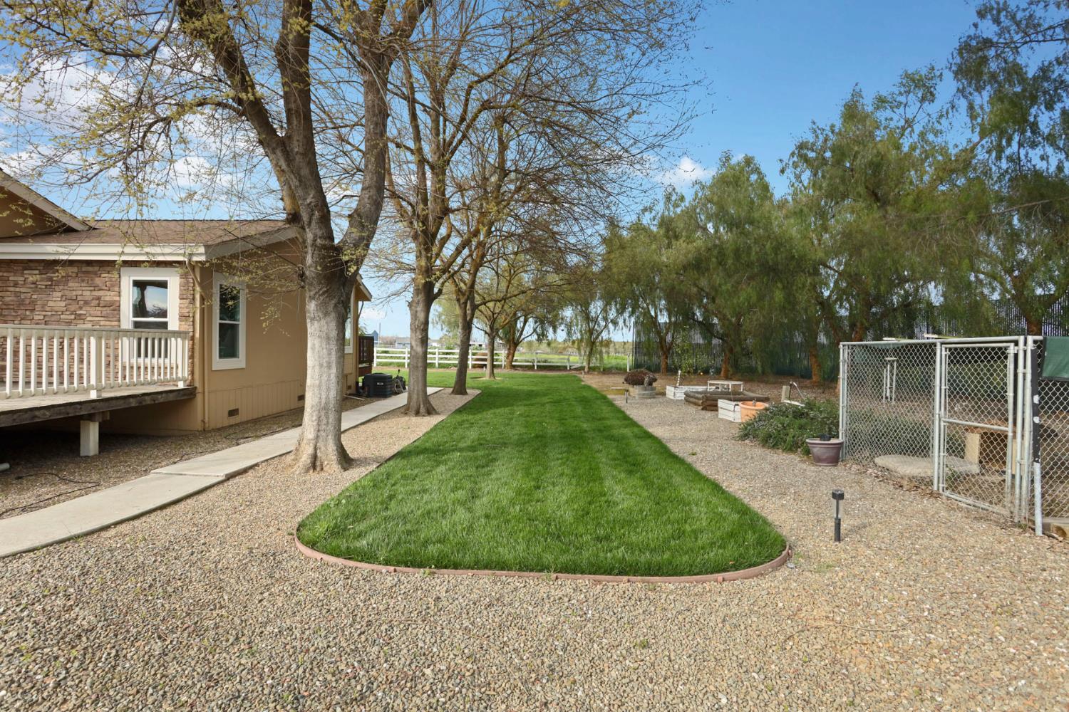 3320 Durham Ferry Road Tracy, CA 95304 - Photo 54 of 77 a view of a backyard with a garden and trees