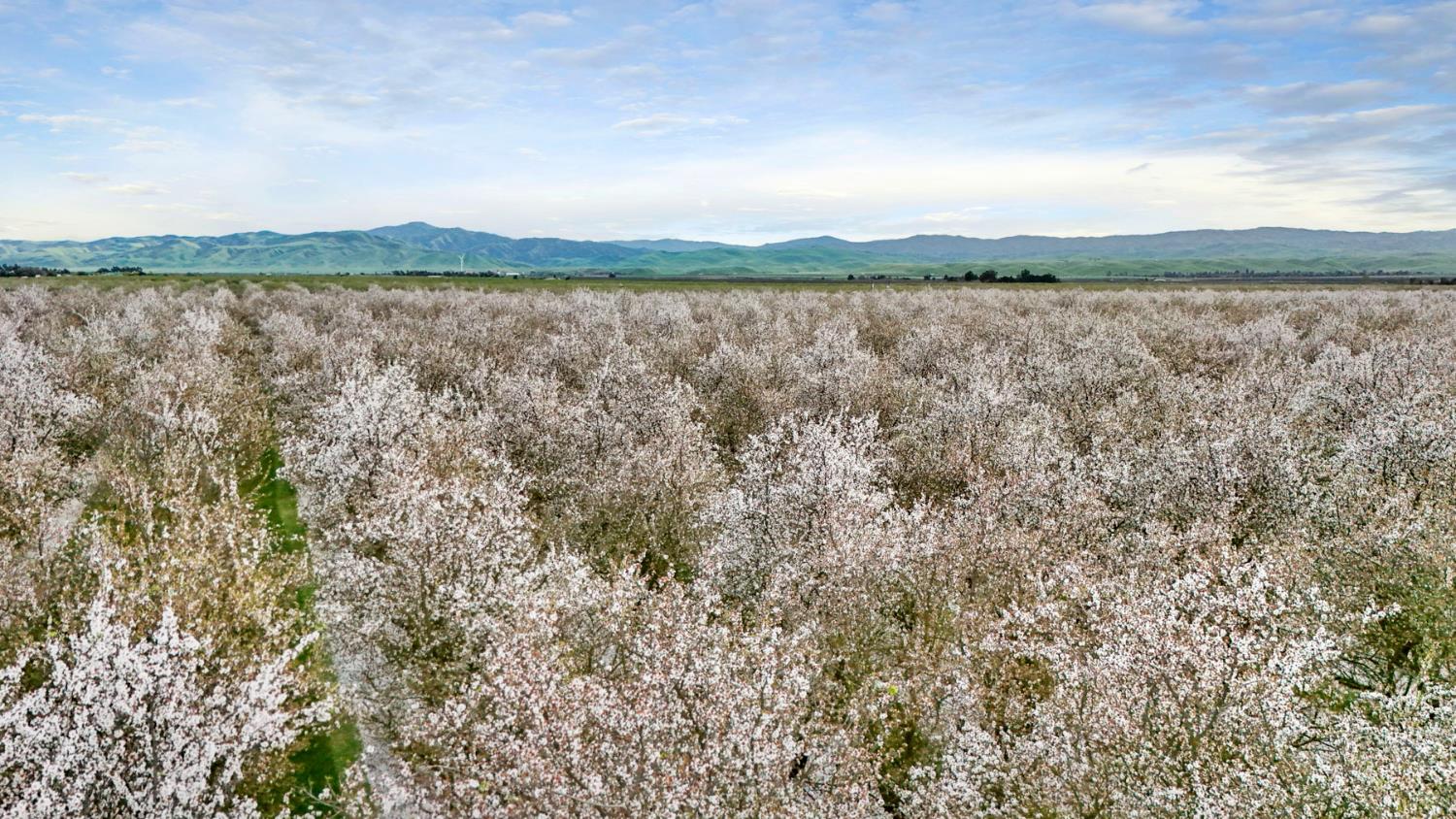 3320 Durham Ferry Road Tracy, CA 95304 - Photo 71 of 77 a view of lake with mountain