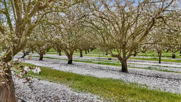 $1,350,000 | 3320 Durham Ferry Road, Tracy, CA 95304