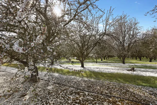 $1,350,000 | 3320 Durham Ferry Road, Tracy, CA 95304