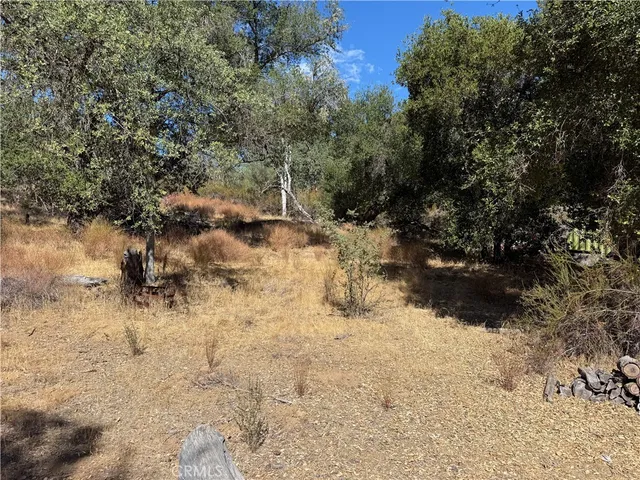a view of water covered with snow in between of the road