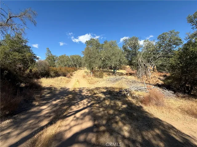 a view of a yard with a tree