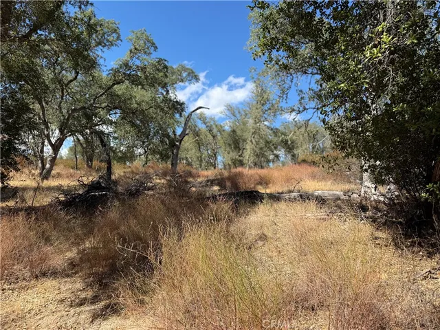 a view of yard with green space