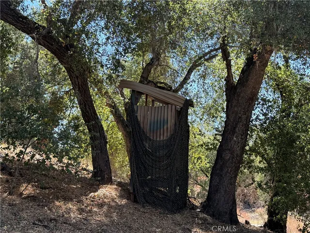 a view of a tree in a yard