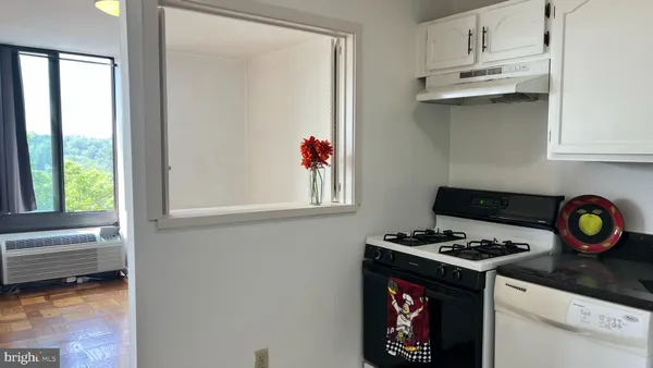 $2,250 | 1510 12th Street North, Unit 503, Arlington, VA 22209
