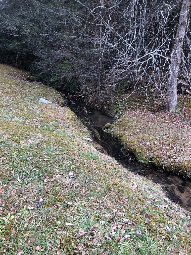 4293 Jones Cove Road Sevierville, TN 37876 - Photo 6 of 27